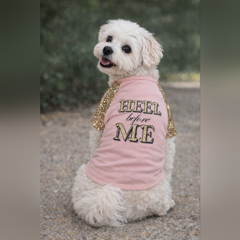 Chic Pink and Gold Dog Tee